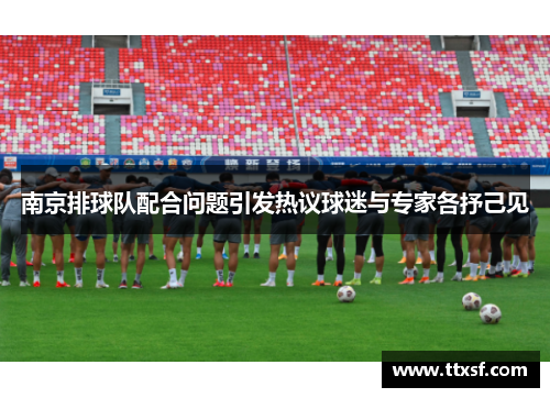 南京排球队配合问题引发热议球迷与专家各抒己见