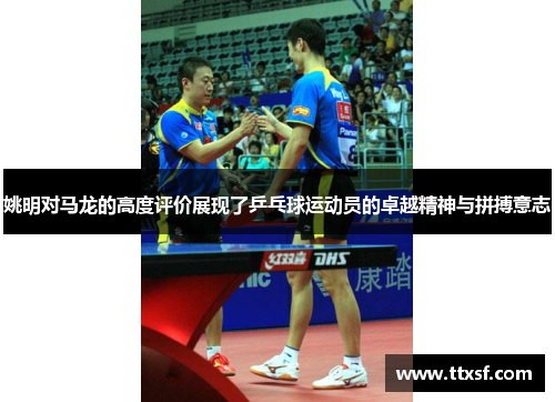 姚明对马龙的高度评价展现了乒乓球运动员的卓越精神与拼搏意志